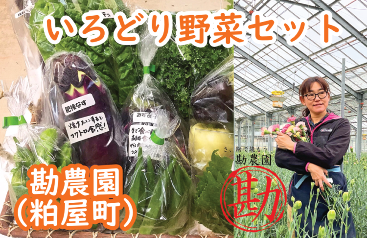 新鮮な旬野菜BOXが自宅に届きます♪